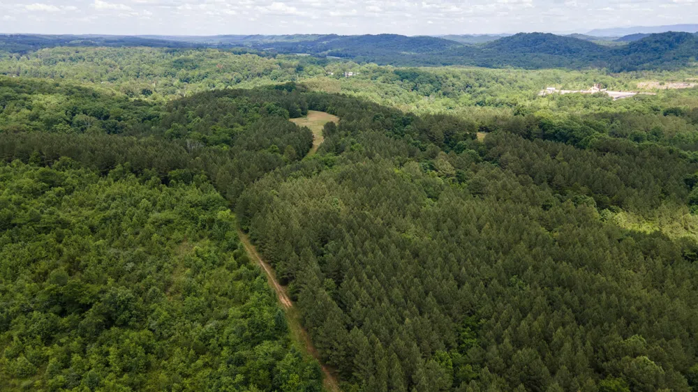 4 State Highway 163 Calhoun, TN 37309