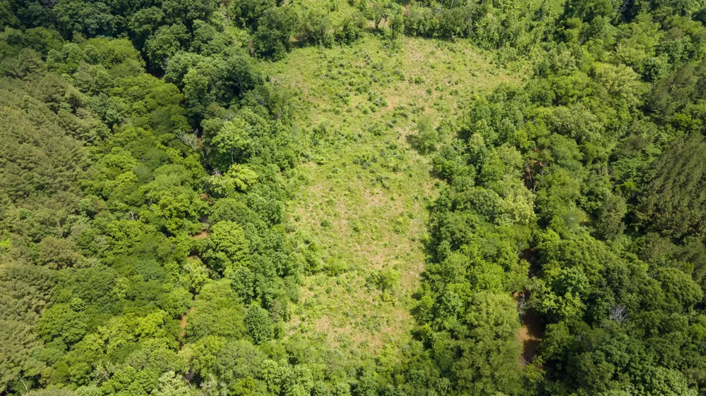 4 State Highway 163 Calhoun, TN 37309