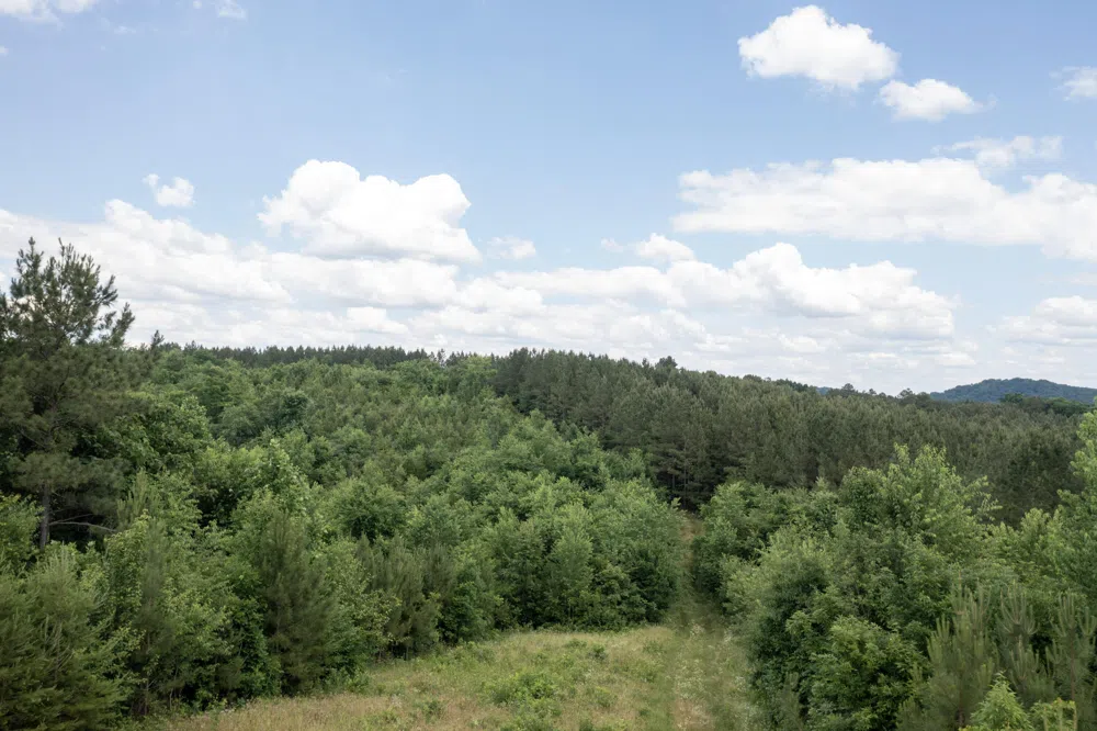 4 State Highway 163 Calhoun, TN 37309