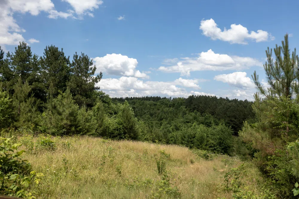 4 State Highway 163 Calhoun, TN 37309