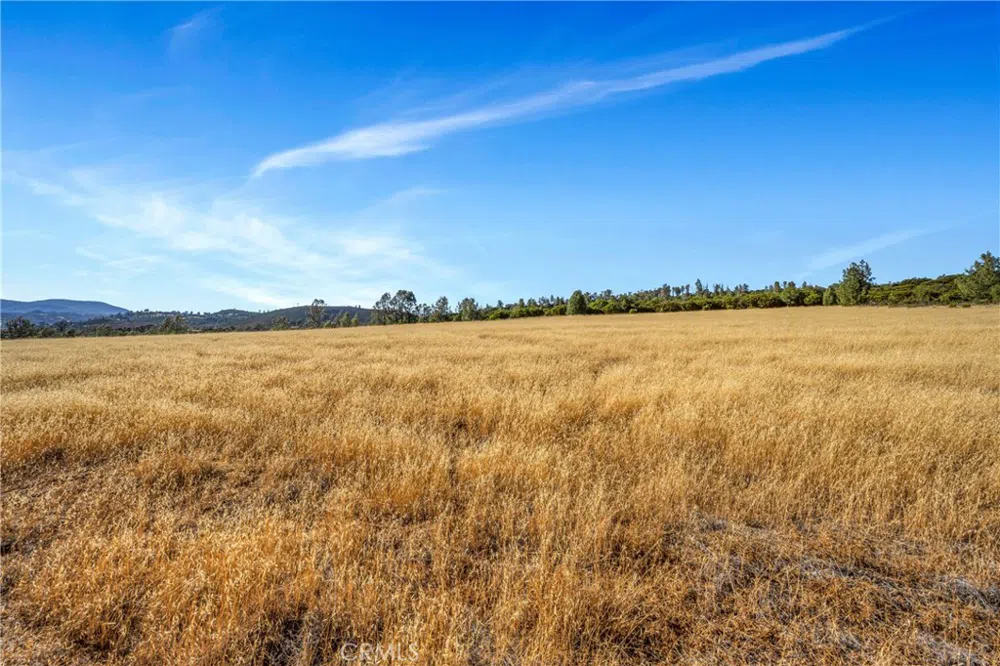 20102 Jaclyn Drive Middletown, CA 95461