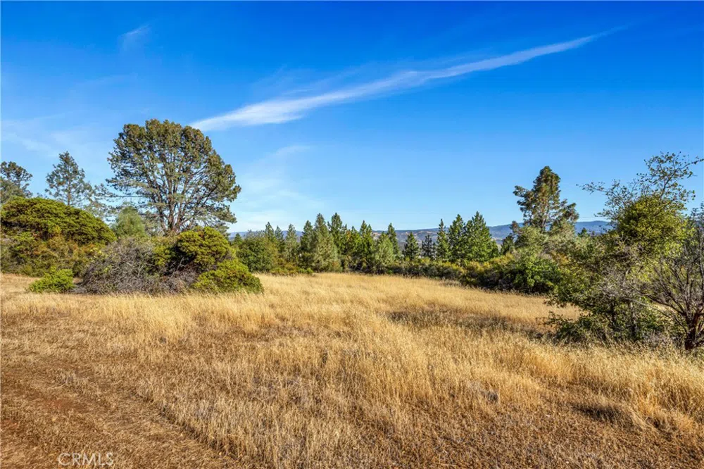 20102 Jaclyn Drive Middletown, CA 95461