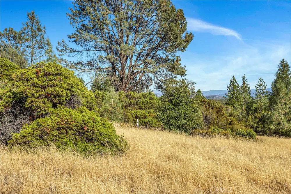 20102 Jaclyn Drive Middletown, CA 95461