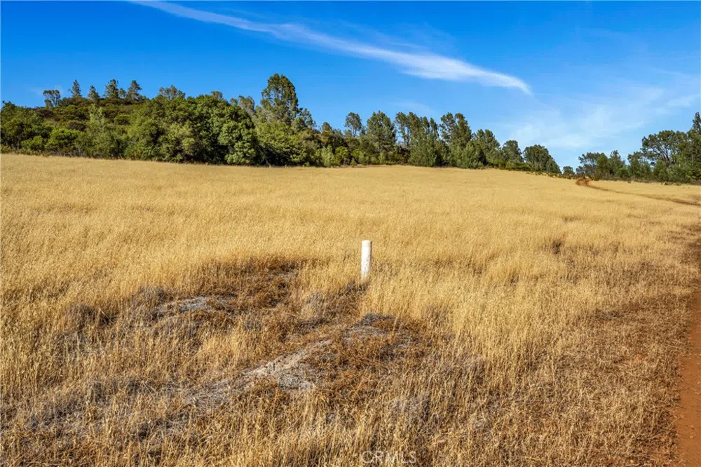 20102 Jaclyn Drive Middletown, CA 95461
