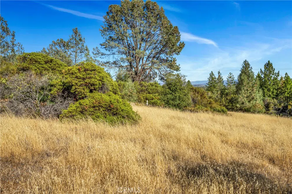 20102 Jaclyn Drive Middletown, CA 95461