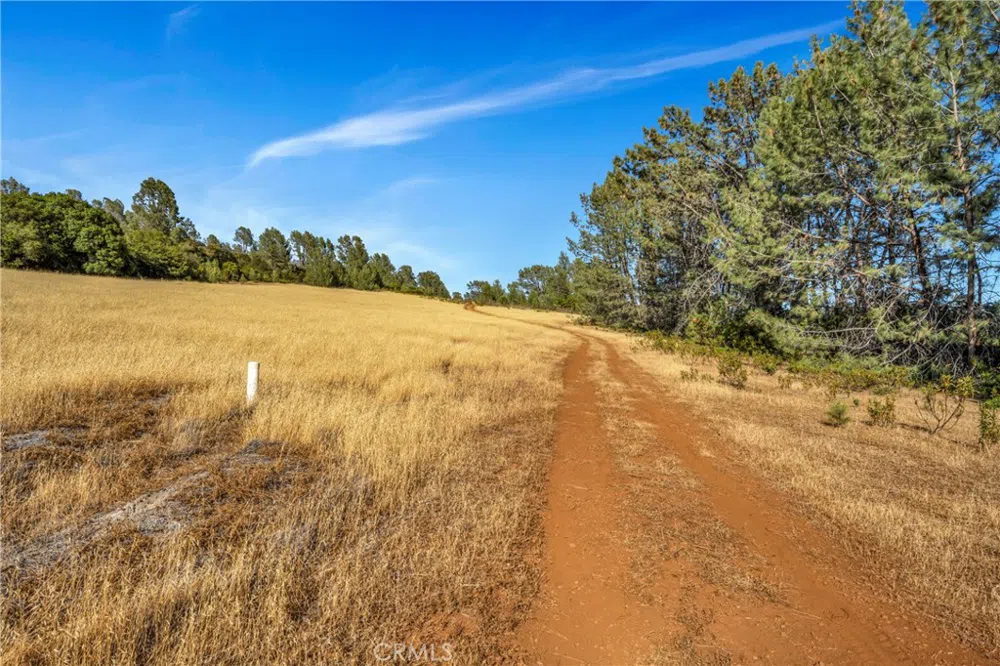 20102 Jaclyn Drive Middletown, CA 95461