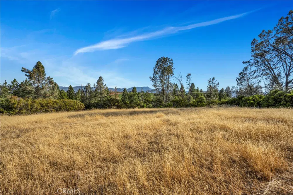 20102 Jaclyn Drive Middletown, CA 95461