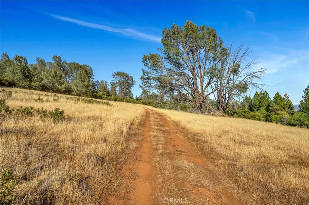 20102 Jaclyn Drive Middletown, CA 95461