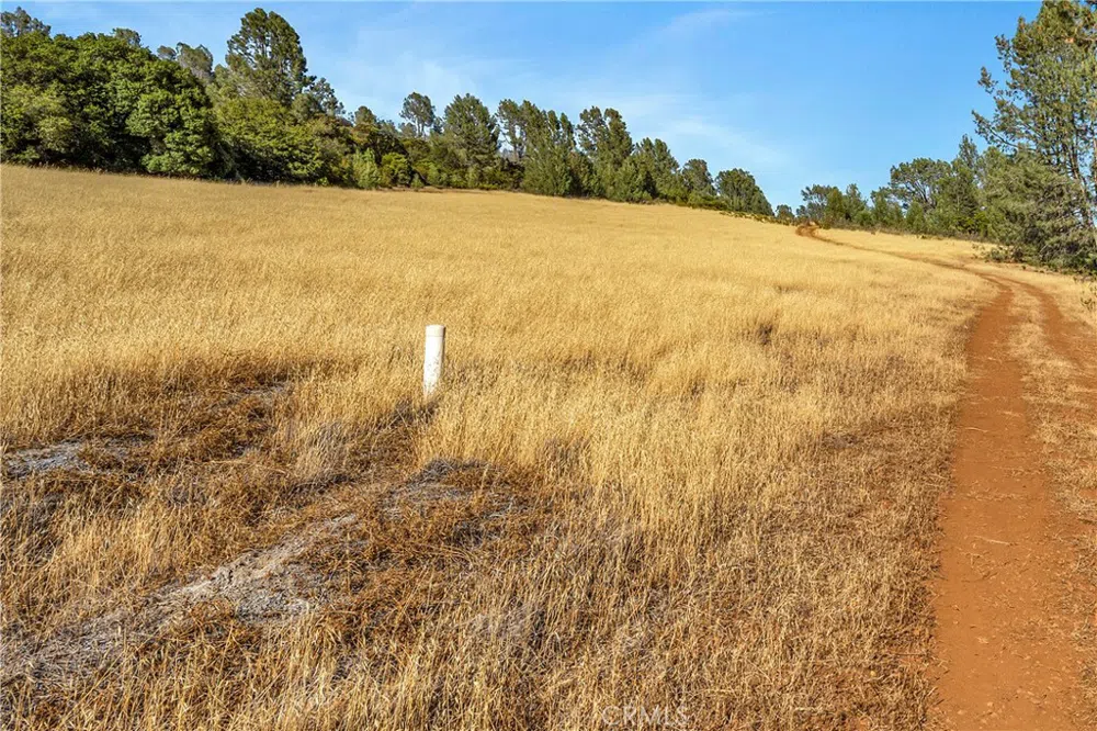 20102 Jaclyn Drive Middletown, CA 95461