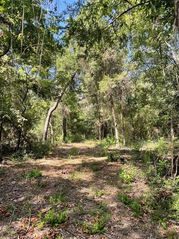 LCR 828 Groesbeck, TX 76642