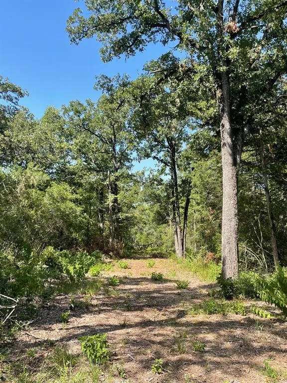 LCR 828 Groesbeck, TX 76642