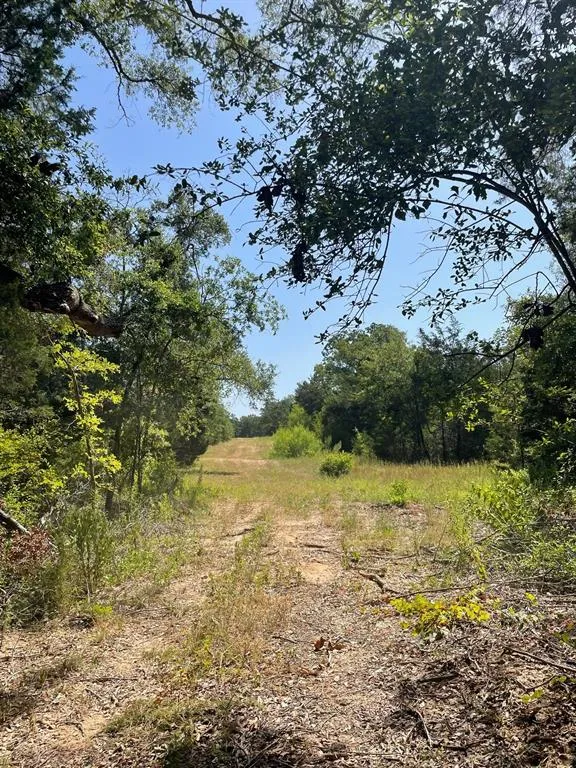 LCR 828 Groesbeck, TX 76642
