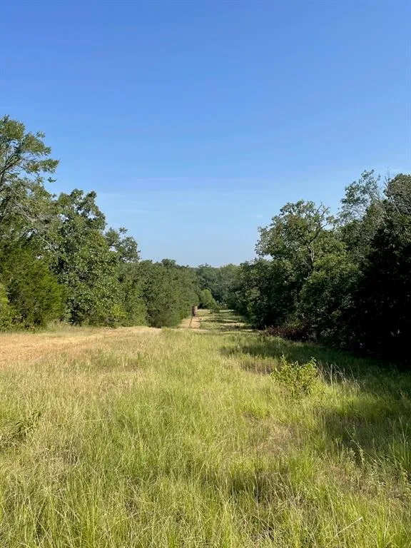 LCR 828 Groesbeck, TX 76642