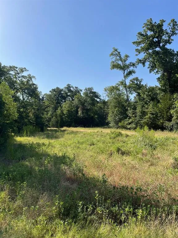 LCR 828 Groesbeck, TX 76642