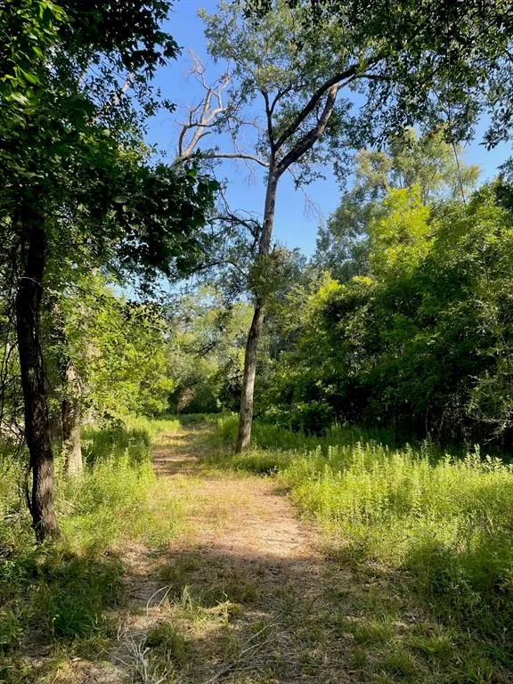 LCR 828 Groesbeck, TX 76642