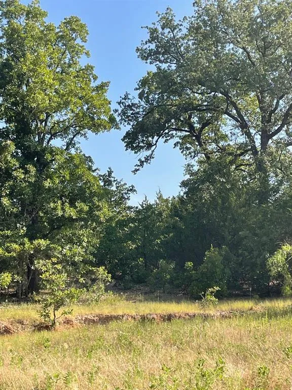 LCR 828 Groesbeck, TX 76642