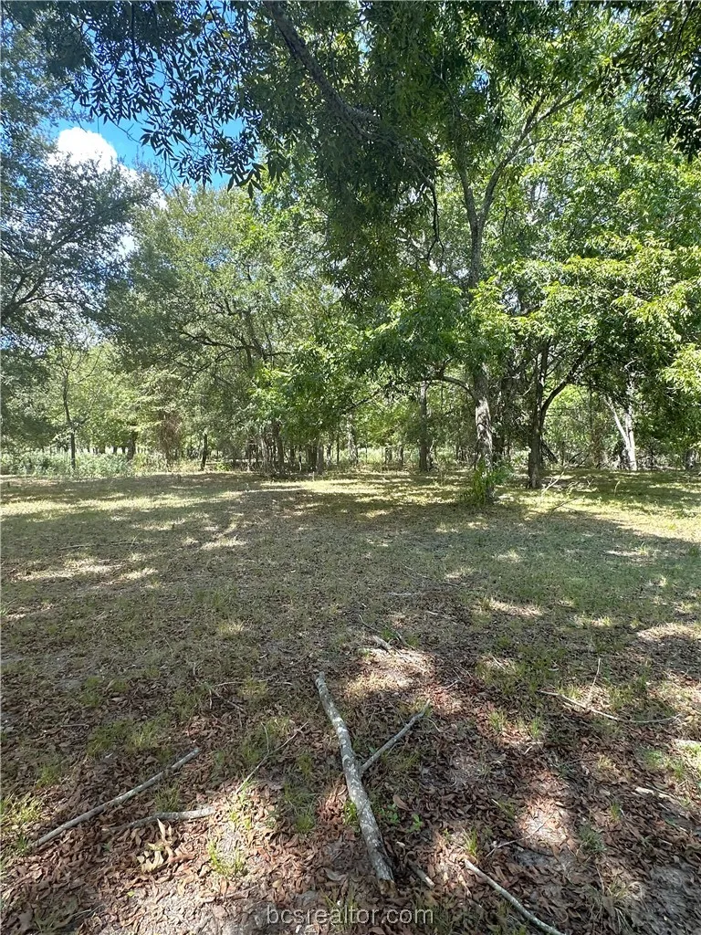 853 County Road 206 Bremond, TX 76629