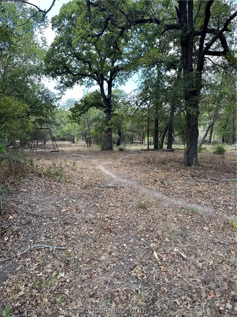 853 County Road 206 Bremond, TX 76629