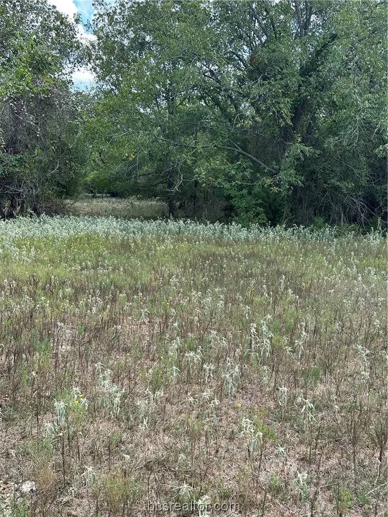 853 County Road 206 Bremond, TX 76629