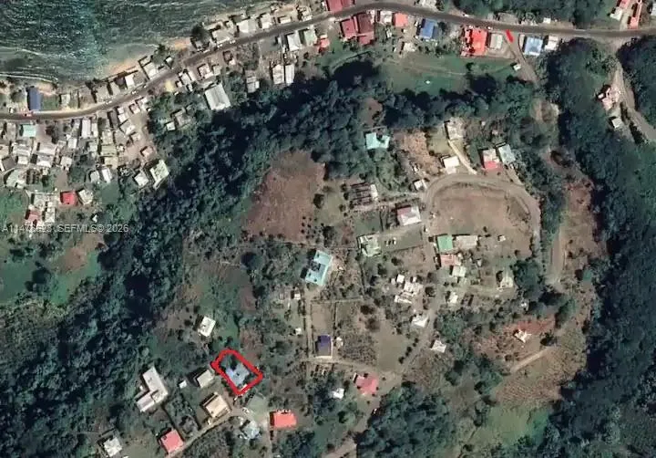 CALIBISHE, DOMINICA 