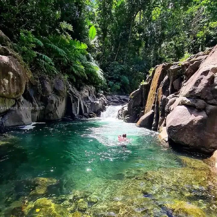 CALIBISHE, DOMINICA 