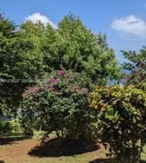 CALIBISHE, DOMINICA 