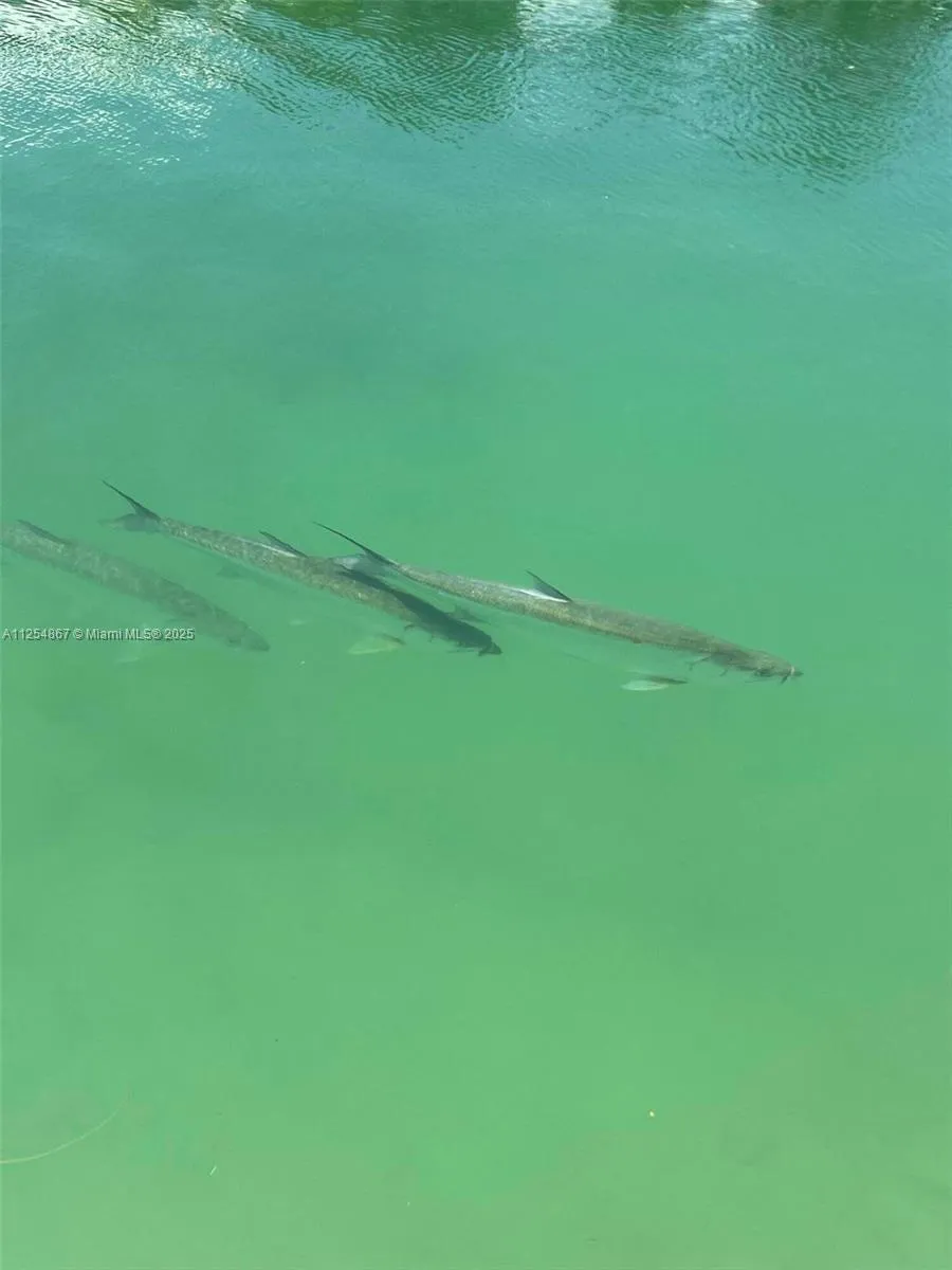 124 S Indies Marathon, FL 33050