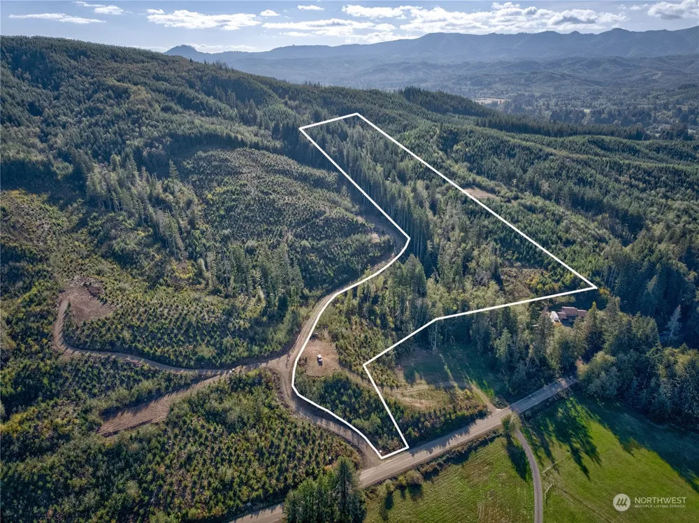 0 Tract 1 South Valley Rd Naselle, WA 98638