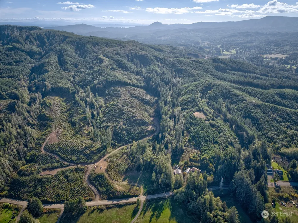 0 Tract 1 South Valley Rd Naselle, WA 98638