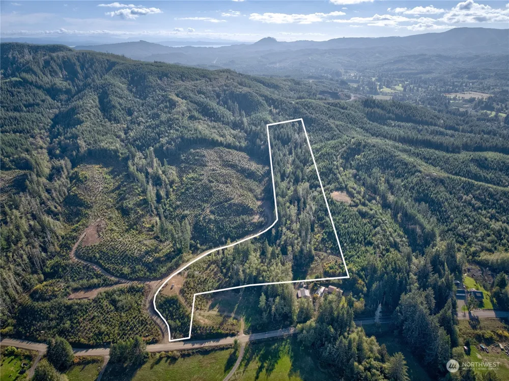 0 Tract 1 South Valley Rd Naselle, WA 98638