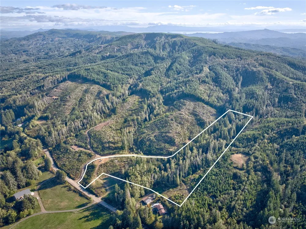 0 Tract 1 South Valley Rd Naselle, WA 98638