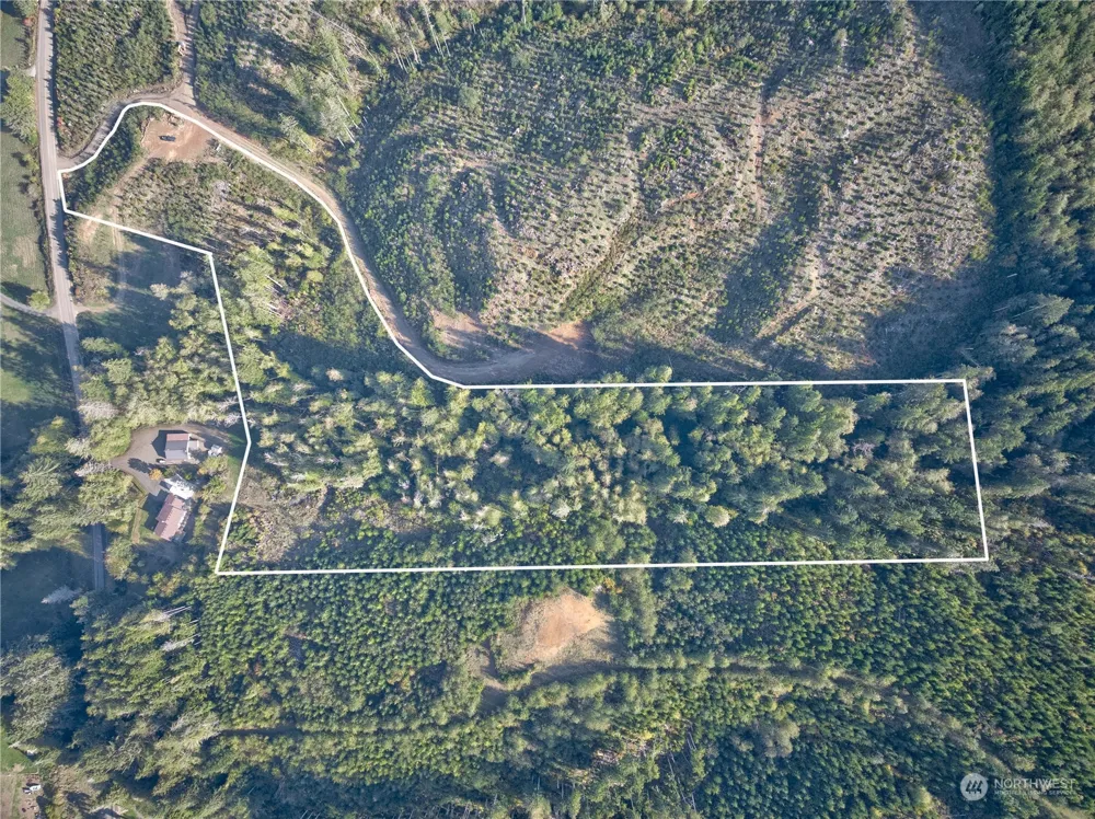 0 Tract 1 South Valley Rd Naselle, WA 98638