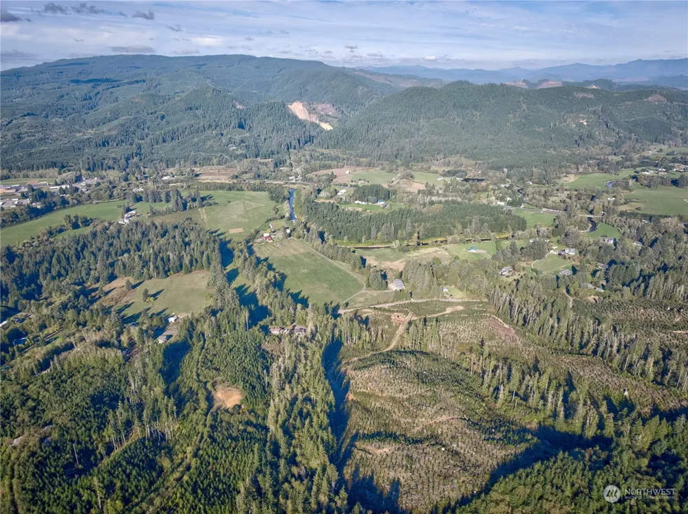 0 Tract 1 South Valley Rd Naselle, WA 98638
