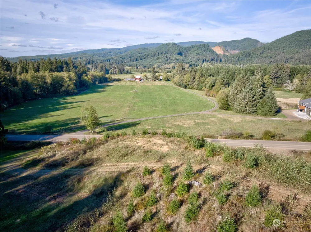 0 Tract 1 South Valley Rd Naselle, WA 98638
