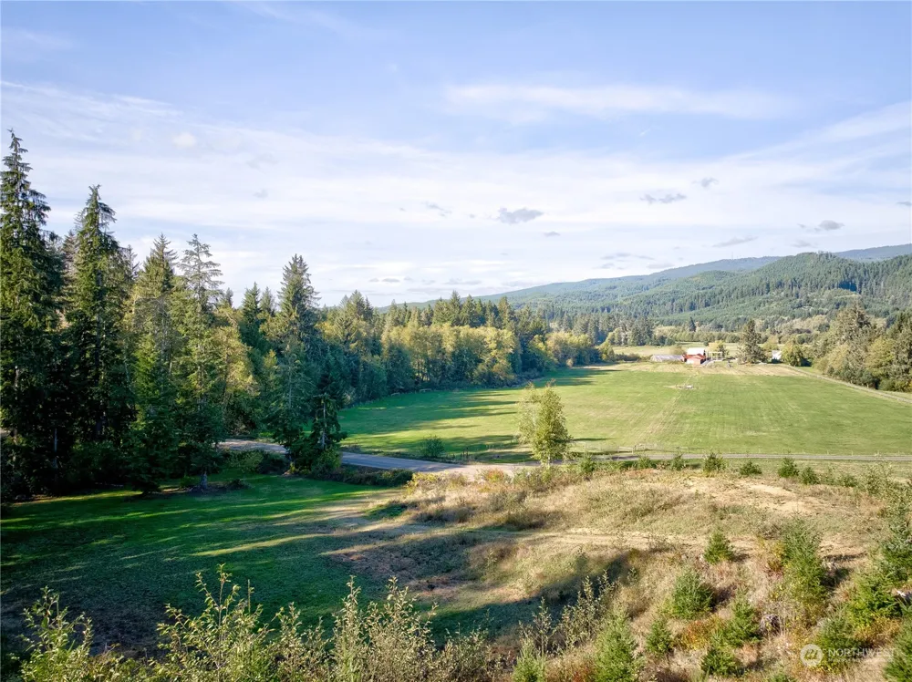 0 Tract 1 South Valley Rd Naselle, WA 98638
