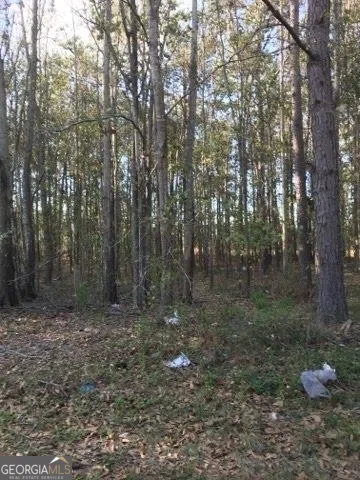 0 E Pinetree BLVD