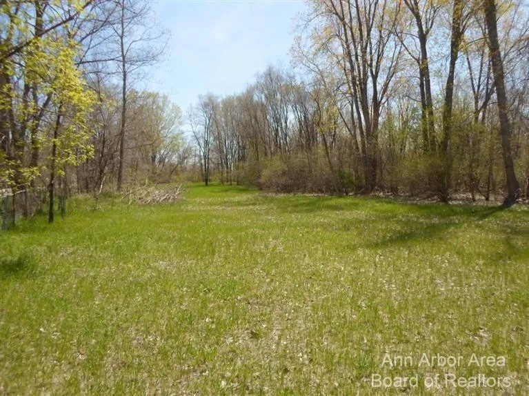 1 E Main Milan, MI 48160