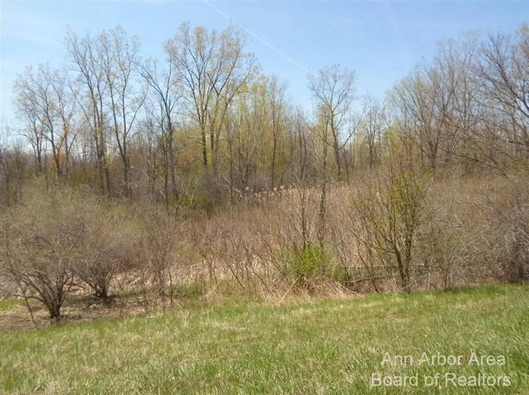 1 E Main Milan, MI 48160