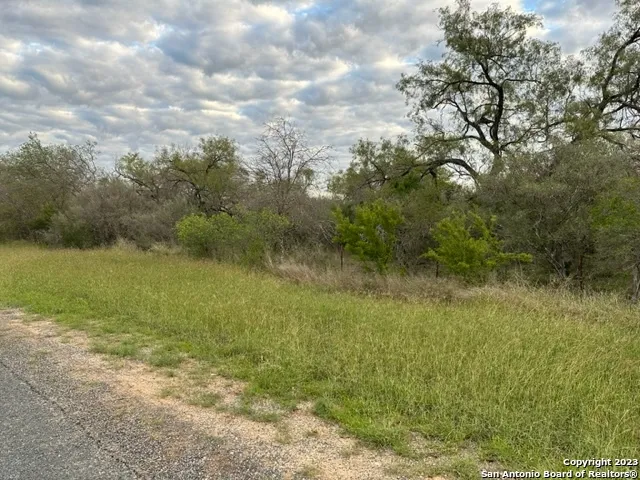 000 Christine Rd Jourdanton, TX 78026