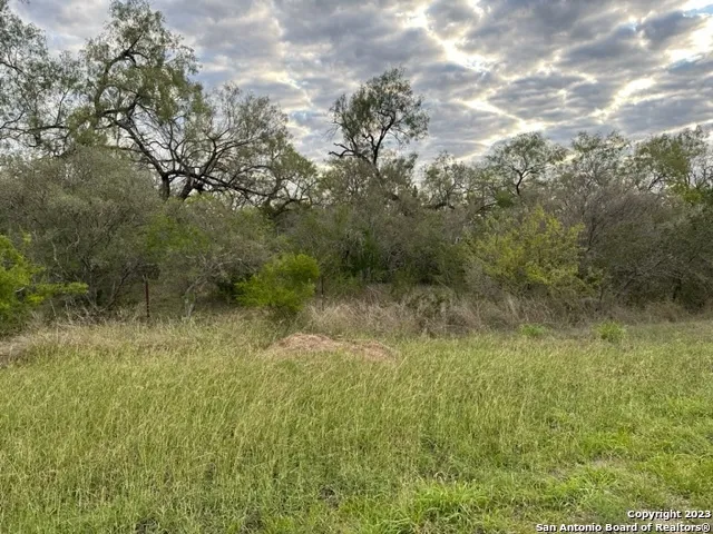 000 Christine Rd Jourdanton, TX 78026