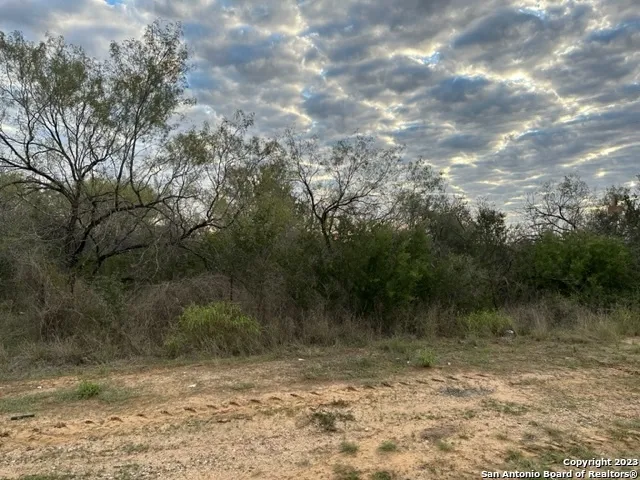 000 Christine Rd Jourdanton, TX 78026