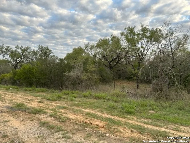 000 Christine Rd Jourdanton, TX 78026