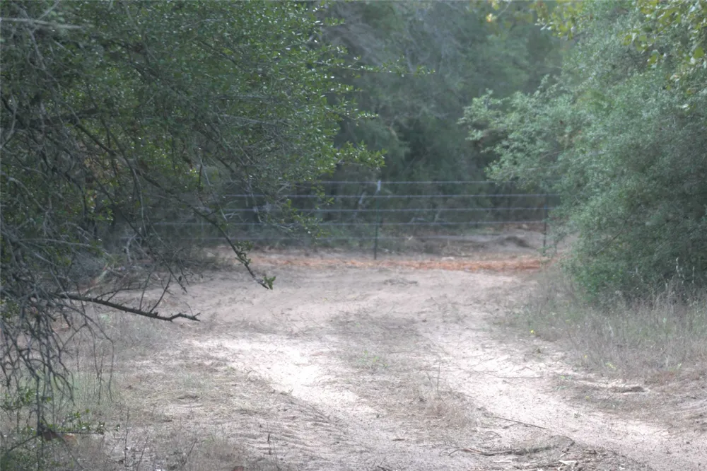 1742 County Road 413 #TRACT 3 Lexington, TX 78947
