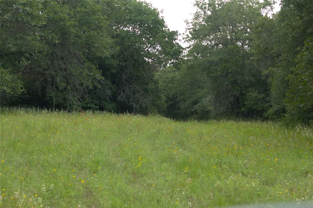 1742 County Road 413 #TRACT 3 Lexington, TX 78947