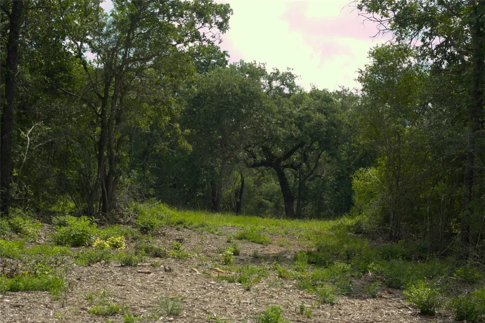 1742 County Road 413 #TRACT 3 Lexington, TX 78947