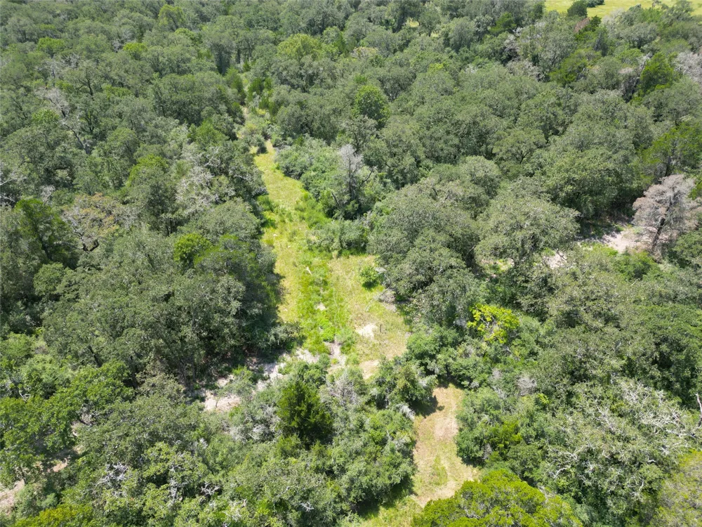 1742 County Road 413 #TRACT 3 Lexington, TX 78947