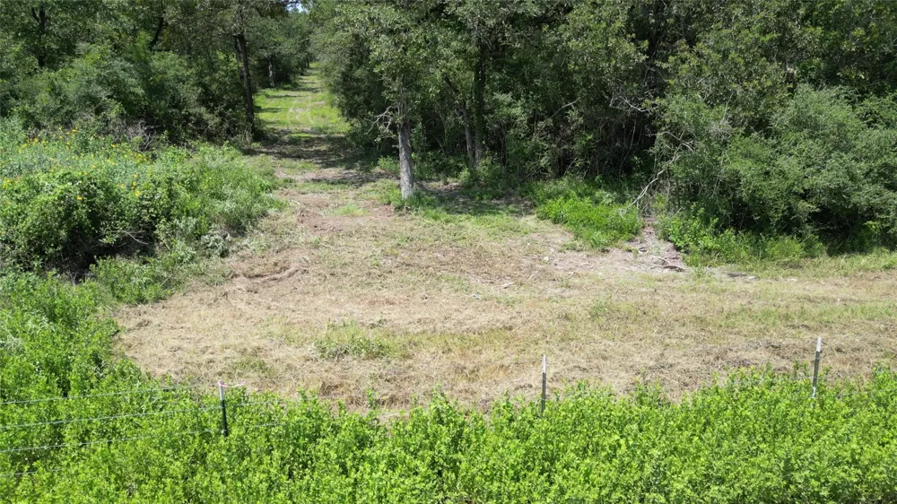 1742 County Road 413 #TRACT 3 Lexington, TX 78947