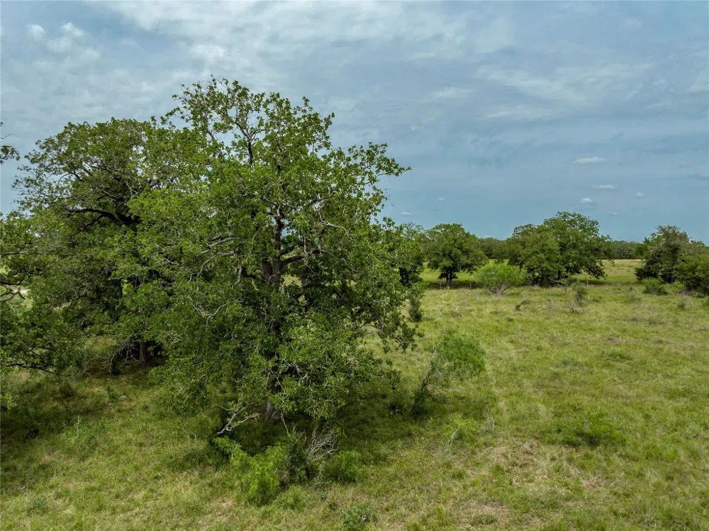 County Rd 405 Gonzales, TX 78629