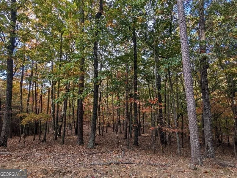0 Oglethorpe Mountain RD Jasper, GA 30143