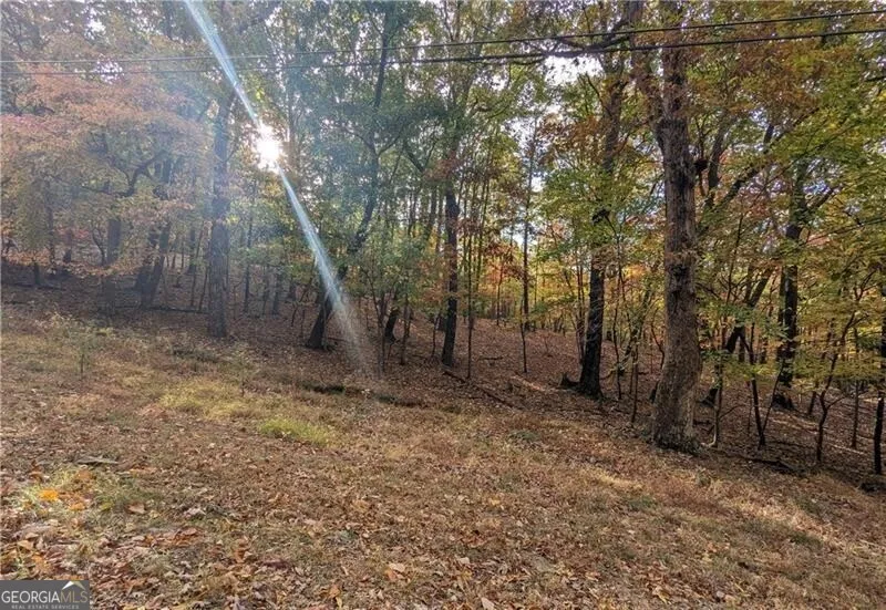 0 Oglethorpe Mountain RD Jasper, GA 30143